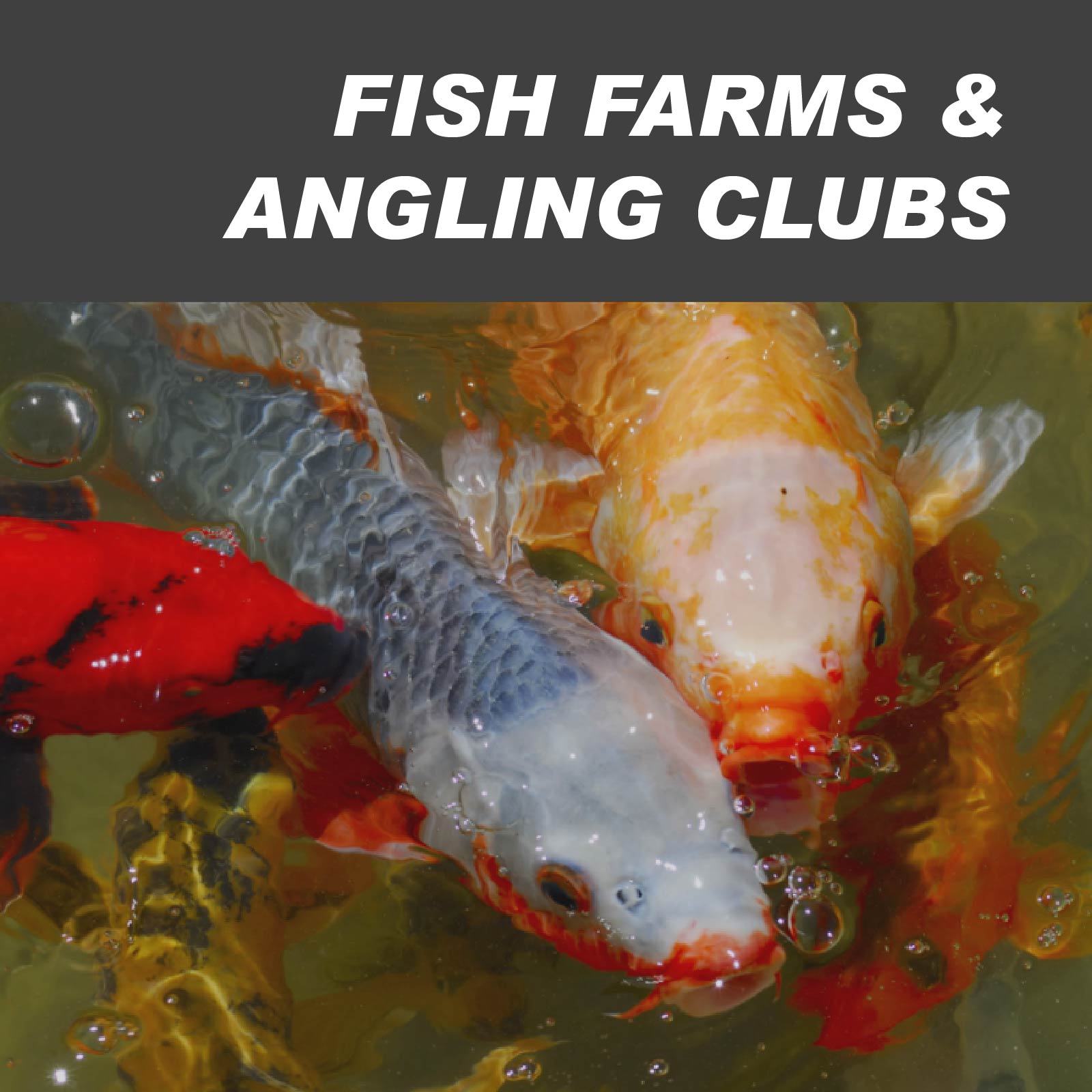 Fish Farms & Angling Club Treatments